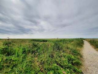 Holiday house Ebeltoft  23