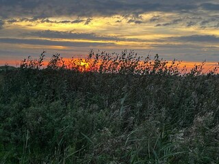 Ferienhaus Ebeltoft  28