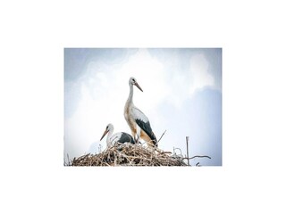 Maison de vacances Welt Enregistrement extérieur 1