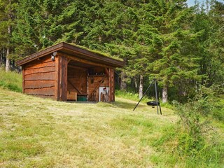 Vakantiehuis Inndyr Buitenaudio-opname 1