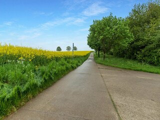 Vakantiehuis Ouffet Omgeving 22