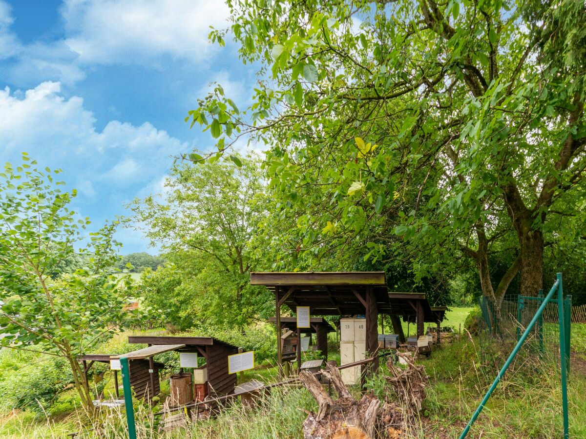 Ferienhaus Ouffet Außenaufnahme 8