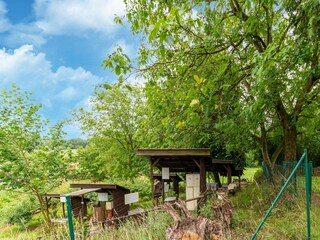 Casa de vacaciones Ouffet Grabación al aire libre 8