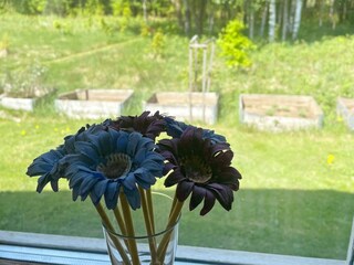 Holiday house Älvsered  21