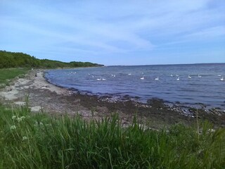 Casa de vacaciones Karrebæksminde  34