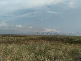 Ferienhaus Hyldtofte  27