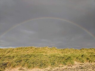 Ferienhaus Hyldtofte  28