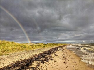 Ferienhaus Hyldtofte  19