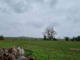 Ferienhaus Hyldtofte  4