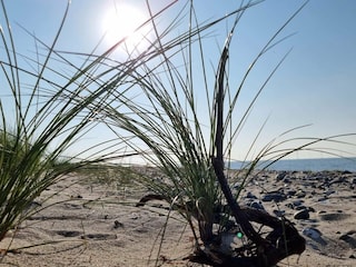 Casa per le vacanze Hyldtofte  10
