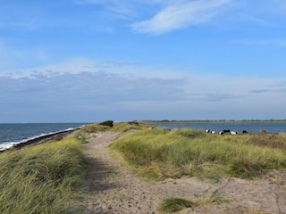 Maison de vacances Hyldtofte  31