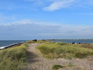 Vakantiehuis Hyldtofte  23