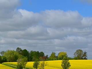 Appartamento Dorf Mecklenburg Ambiente 22