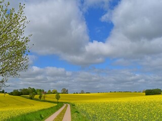 Appartamento Dorf Mecklenburg Ambiente 24