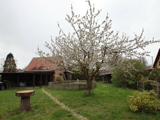 Ferienhaus Luckwitz Außenaufnahme 12