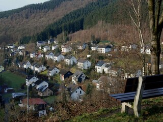 Maison de vacances Willingen Environnement 35