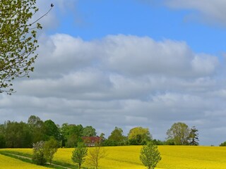 Appartamento Dorf Mecklenburg Registrazione all'aperto 6
