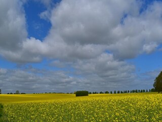 Appartamento Dorf Mecklenburg Ambiente 27