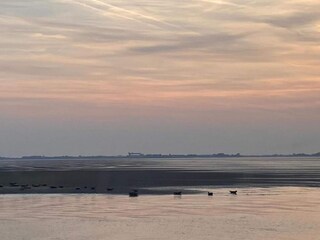 Casa de vacaciones Sint-Maartensdijk Entorno 31