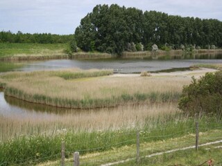 Vakantiehuis Sint-Maartensdijk Omgeving 35
