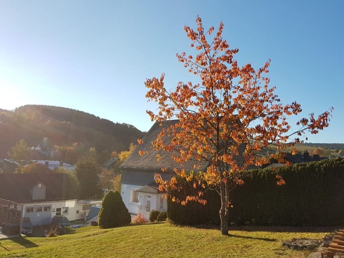 Ferienhaus Winterberg Außenaufnahme 1