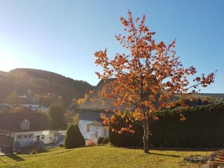 Ferienhaus Winterberg Außenaufnahme 6