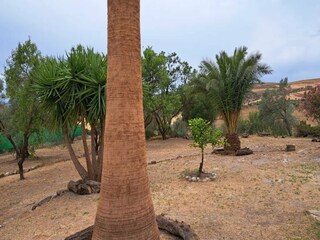 Vakantiehuis Welt Omgeving 30