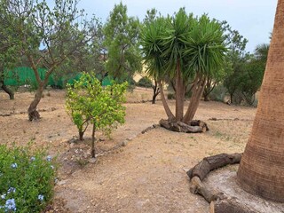 Holiday house Welt Environment 31