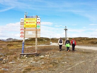 Vakantiehuis Setesdal Buitenaudio-opname 6