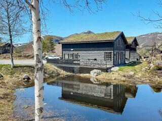 Vakantiehuis Setesdal Buitenaudio-opname 10