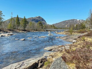 Holiday house Setesdal  25