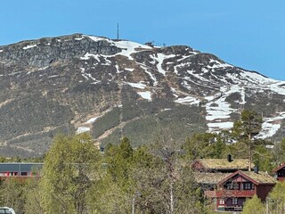 Vakantiehuis Setesdal Buitenaudio-opname 10