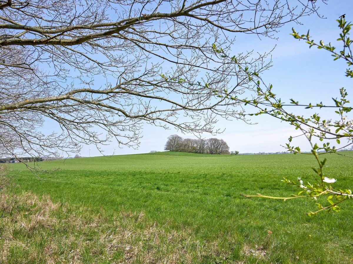 Vakantiehuis Rønne  1