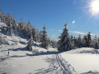 Appartement Winterberg Omgeving 19