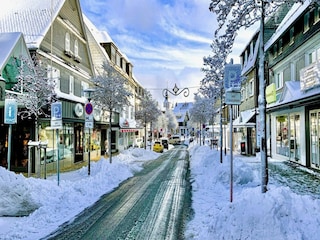 Appartement Winterberg Environnement 36
