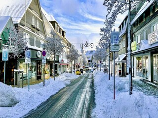 Appartement Winterberg Omgeving 36