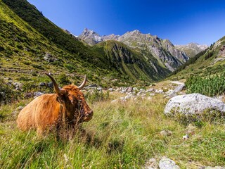 Apartamento St. Leonhard im Pitztal Entorno 30