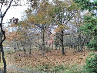 Vakantiehuis Thyholm  38