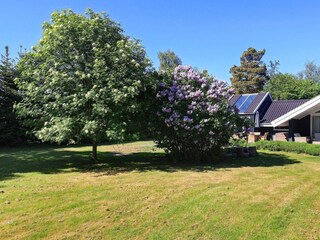 Ferienhaus Vaeggerløse  28