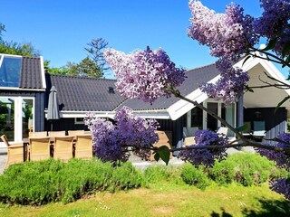 Vakantiehuis Vaeggerløse  24