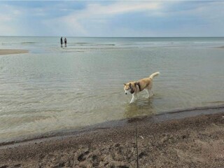 Holiday house Rødhus  14