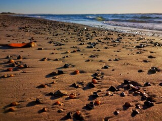 Holiday house Rødhus  18