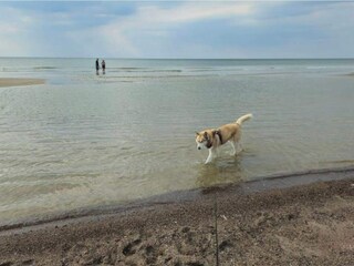 Ferienhaus Rødhus  20