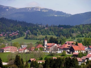Ferienhaus Chavornay Umgebung 27
