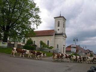 Vakantiehuis Chavornay Omgeving 29
