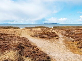 Holiday house Trend  34