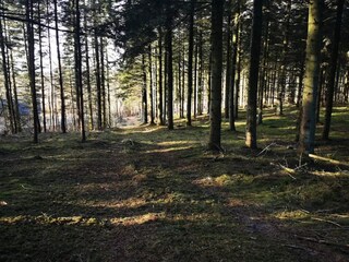 Holiday house Trend  25