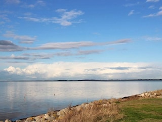 Holiday house Trend  7