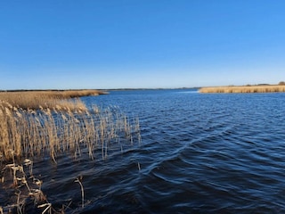 Ferienhaus Trend  28