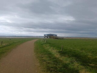 Ferienhaus Trend  17